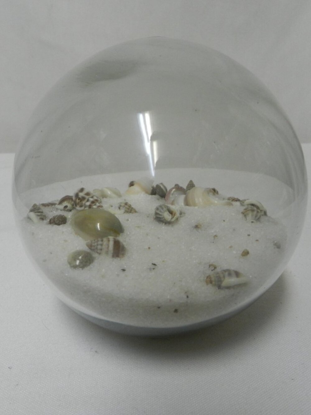 Pier One 1 Vintage Coastal Home Orb Clear Glass w/ Sea Shells 3.5" x 3.5" beach